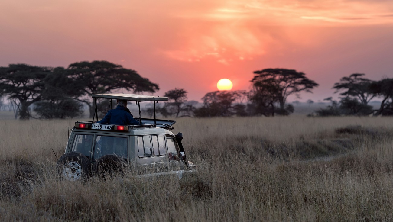 Tanzanie, le théâtre sauvage de l Afrique