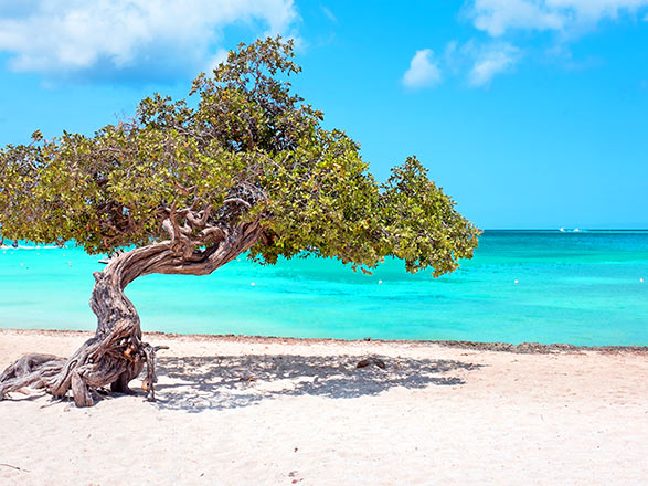 Aruba