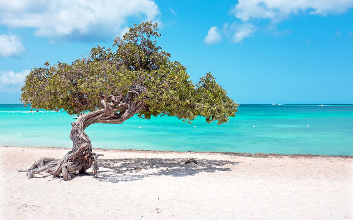 Escala Aruba