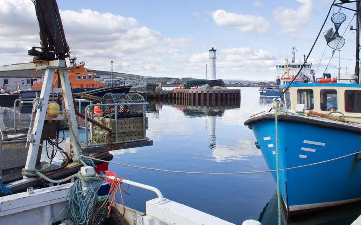 Escala Kirkwall