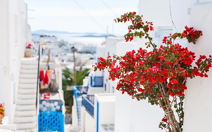 Escala Mykonos