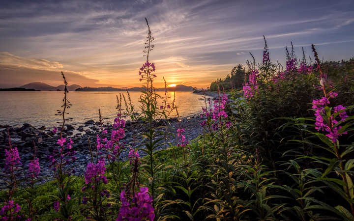Escala Sitka