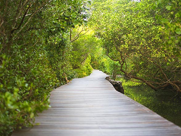 Escale Indonésie (Benoa)