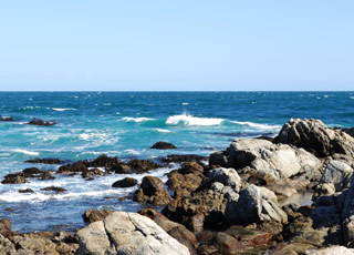 Escale Chili (Coquimbo)