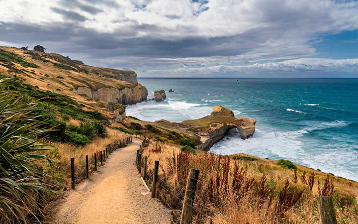 Nouvelle-Zélande (Dunedin)