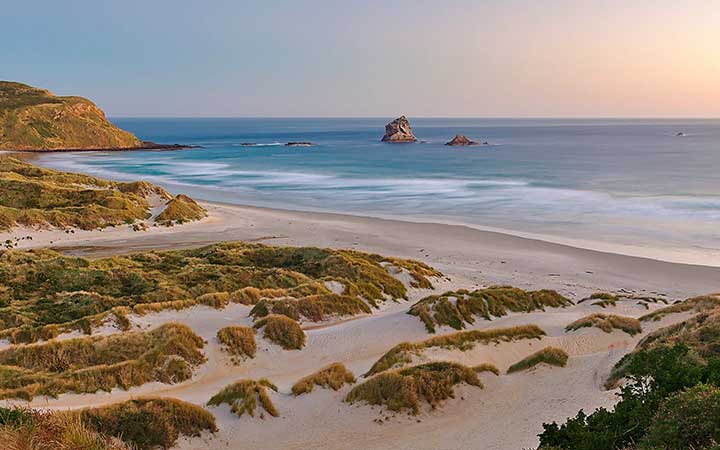 Nouvelle-Zélande (Dunedin)