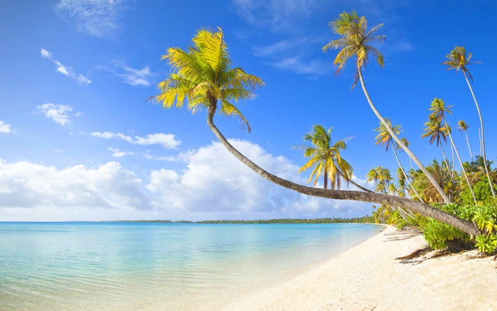 Martinique (Fort de France)