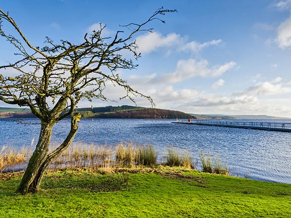 Escale Ecosse (Greenock)