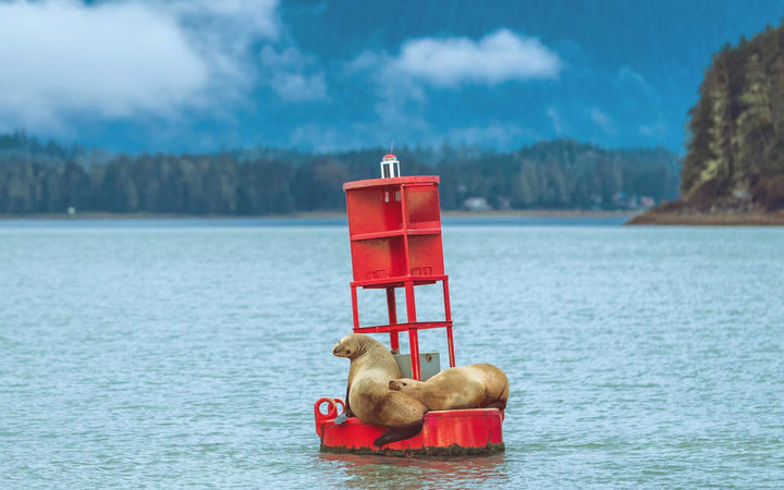 Alaska (Juneau)