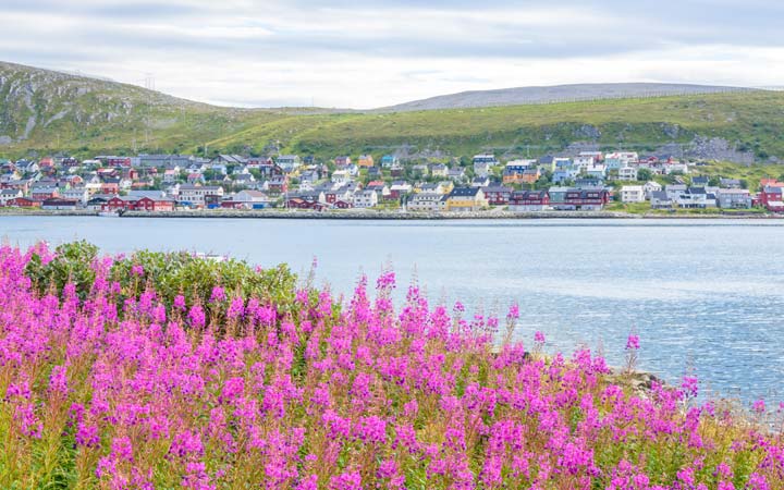 Norvège (Kjollefjord)