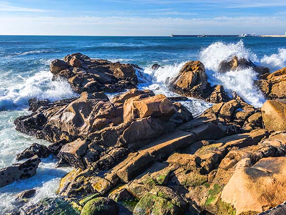 Escale Portugal (Leixoes)