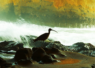 Escale Pérou (Pisco)