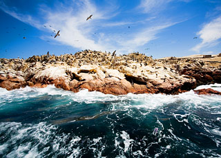 Escale Pérou (Pisco)