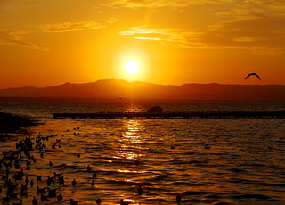 Escale Pérou (Pisco)