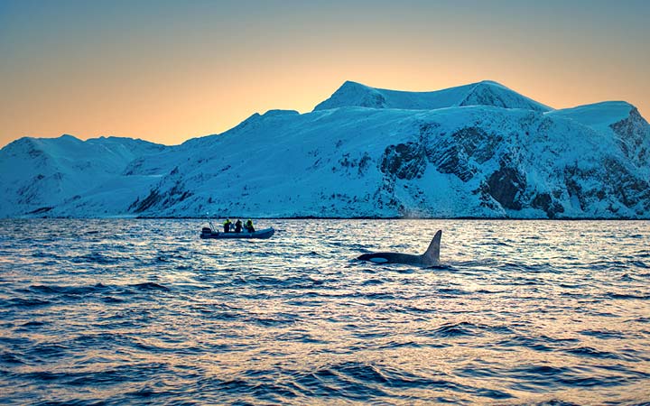 Norvège (Risoyhamn)