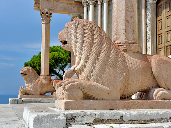 Ancona