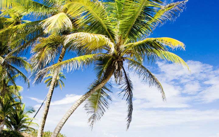 Mystery Island (Vanuatu)