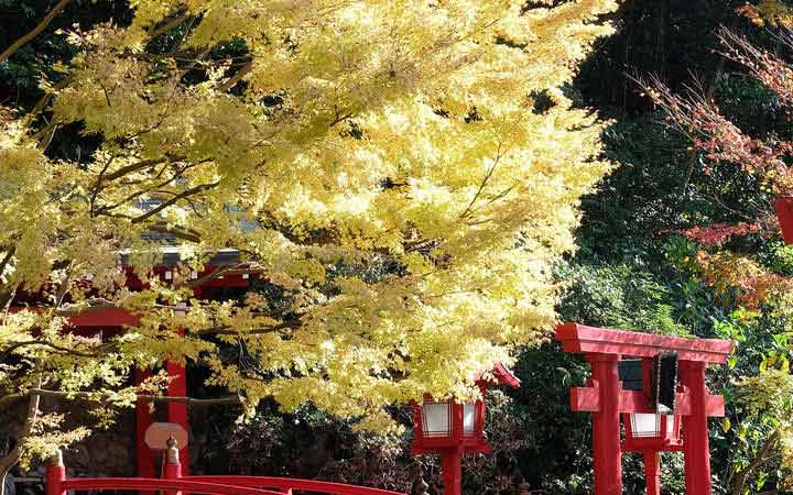 Scalo Beppu