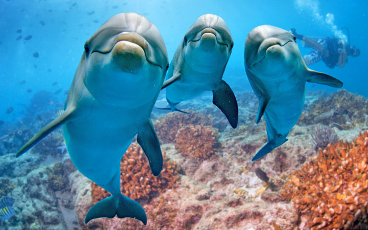 Cozumel