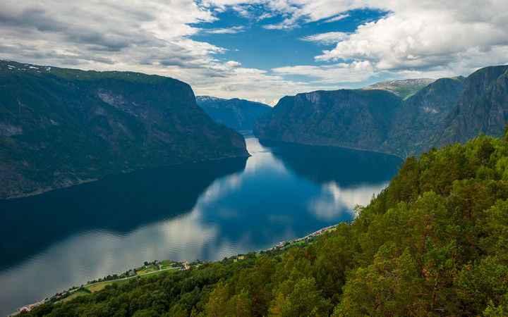 Flam 