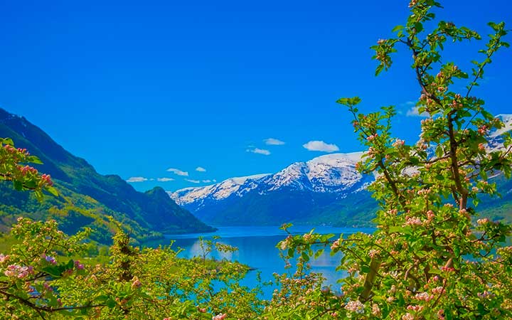 Scalo Hardangerfjord