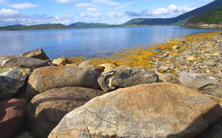 Harstad