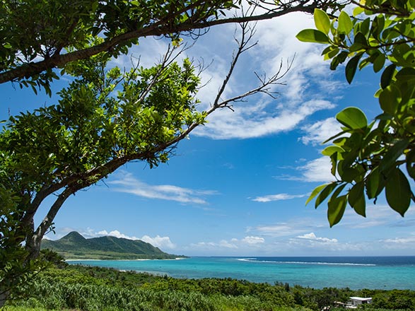 Ishigaki