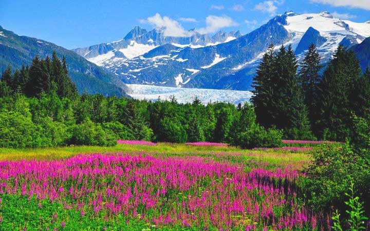 Scalo Juneau