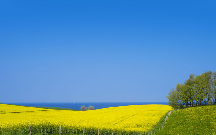 Scalo /immagini/it/scali/scalo,Kiel-_720x450,DE,KEL,43847.jpg