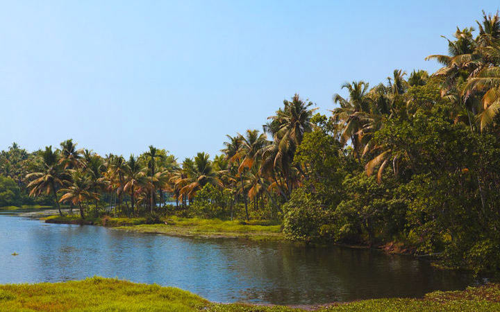 Scalo Kochi