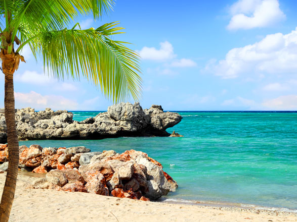 Labadee