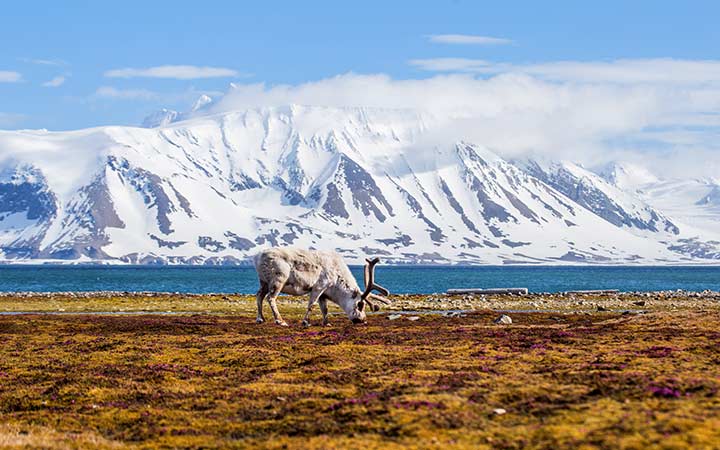 Scalo Longyearbyen