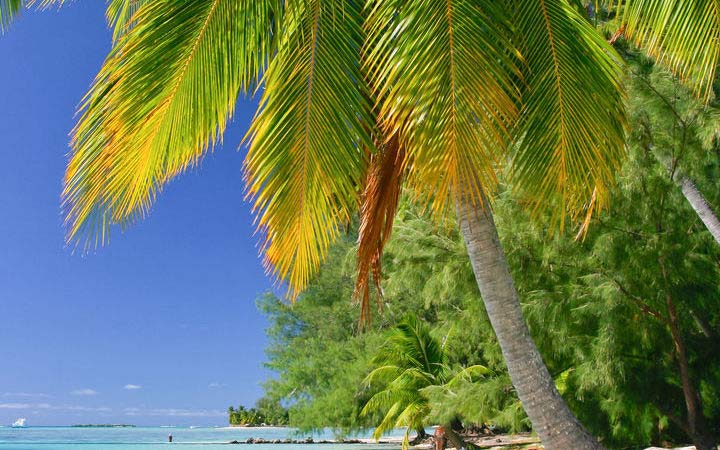 Scalo Moorea