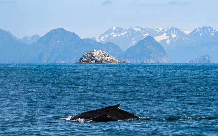 Scalo /immagini/it/scali/scalo,Seward-_720x450,US,SWD,46421.jpg