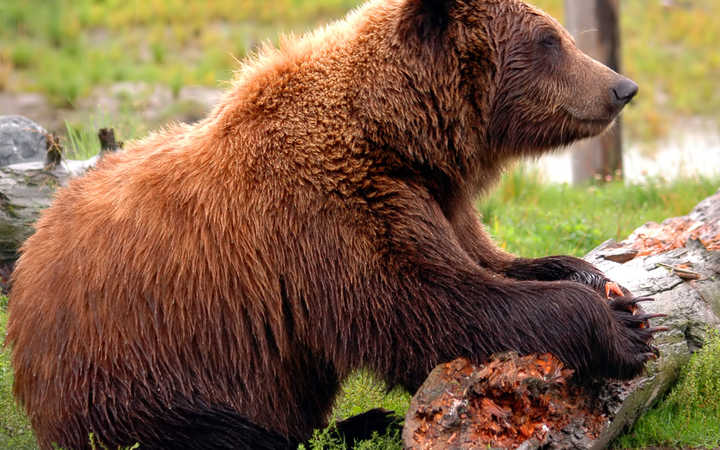 Scalo /immagini/it/scali/scalo,Seward-_720x450,US,SWD,46425.jpg