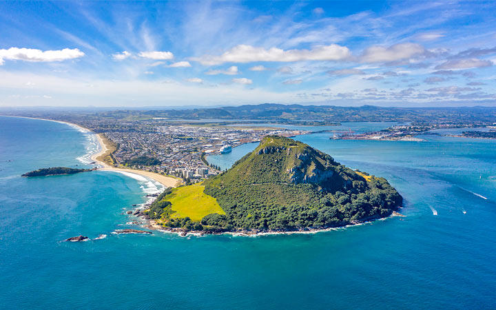 Scalo Tauranga