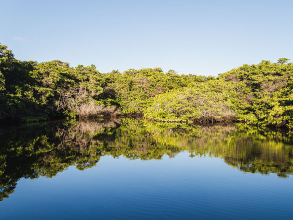 Isole Galapagos 