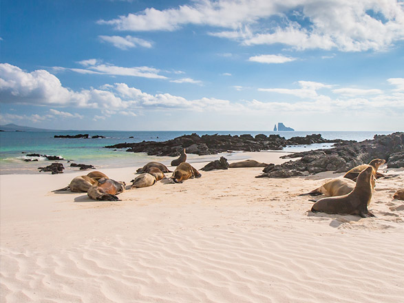 Galapagos 