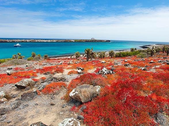 Galapagos 