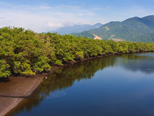 Brasile, Isole Canarie, Marocco, Spagna, Portogallo, Francia, Gran Bretagna 