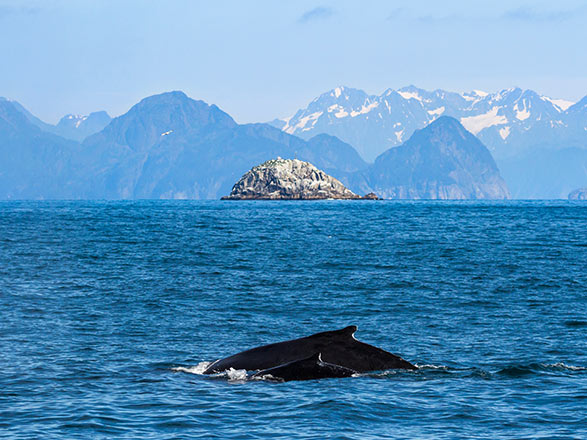 Alaska da Seward a Vancouver 