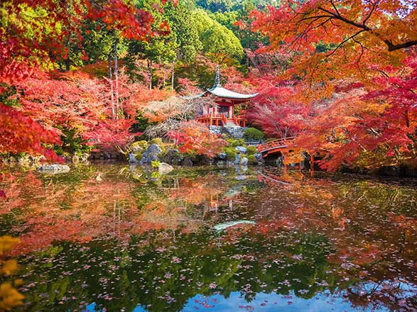 Giappone, Sud Korea, Cina, Vietnam, Singapore, Filippine, Taiwan 