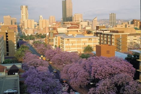 Pretoria town