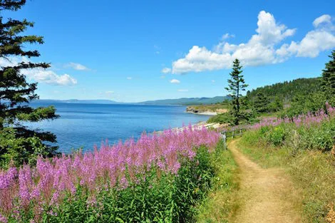 Canada : Autotour Des Chutes du Niagara au Rocher Percé - Éclaireur - SUP
