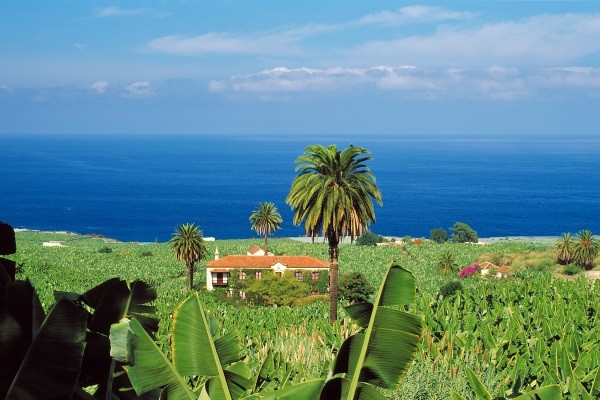Tenerife