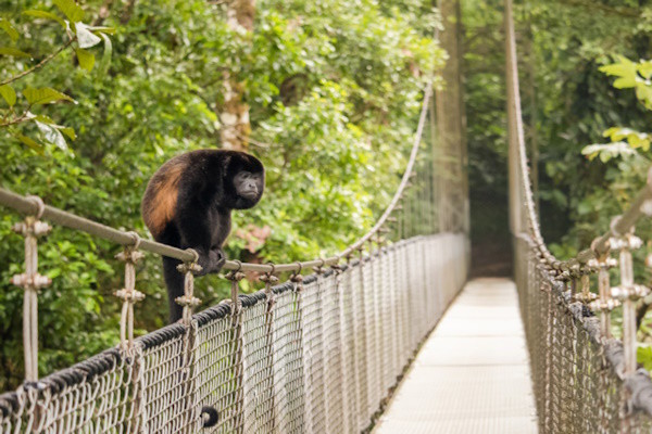 Costa Rica : Autotour Les Splendeurs du Costa Rica