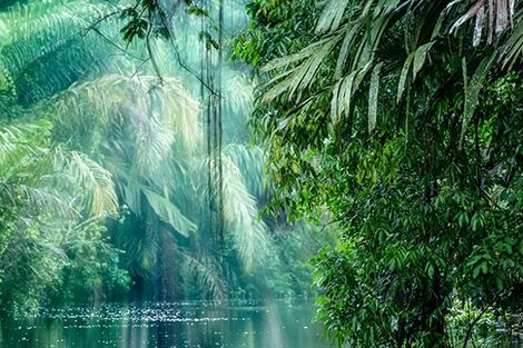 Autotour Costa Rica Pura Vida & Tortuguero