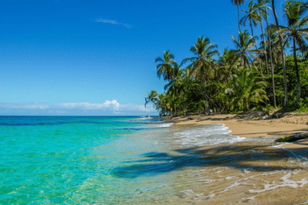 Costa Rica : Autotour De la Mer des Caraïbes à l'Océan Pacifique