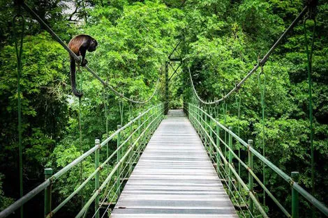 Costa Rica : Autotour Le Costa Rica des Caraïbes au Pacifique