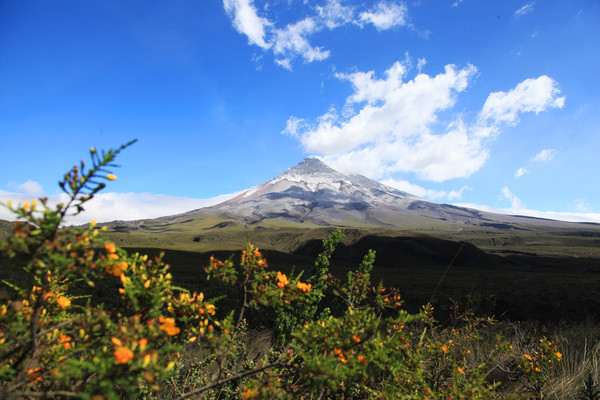 Cotopaxi